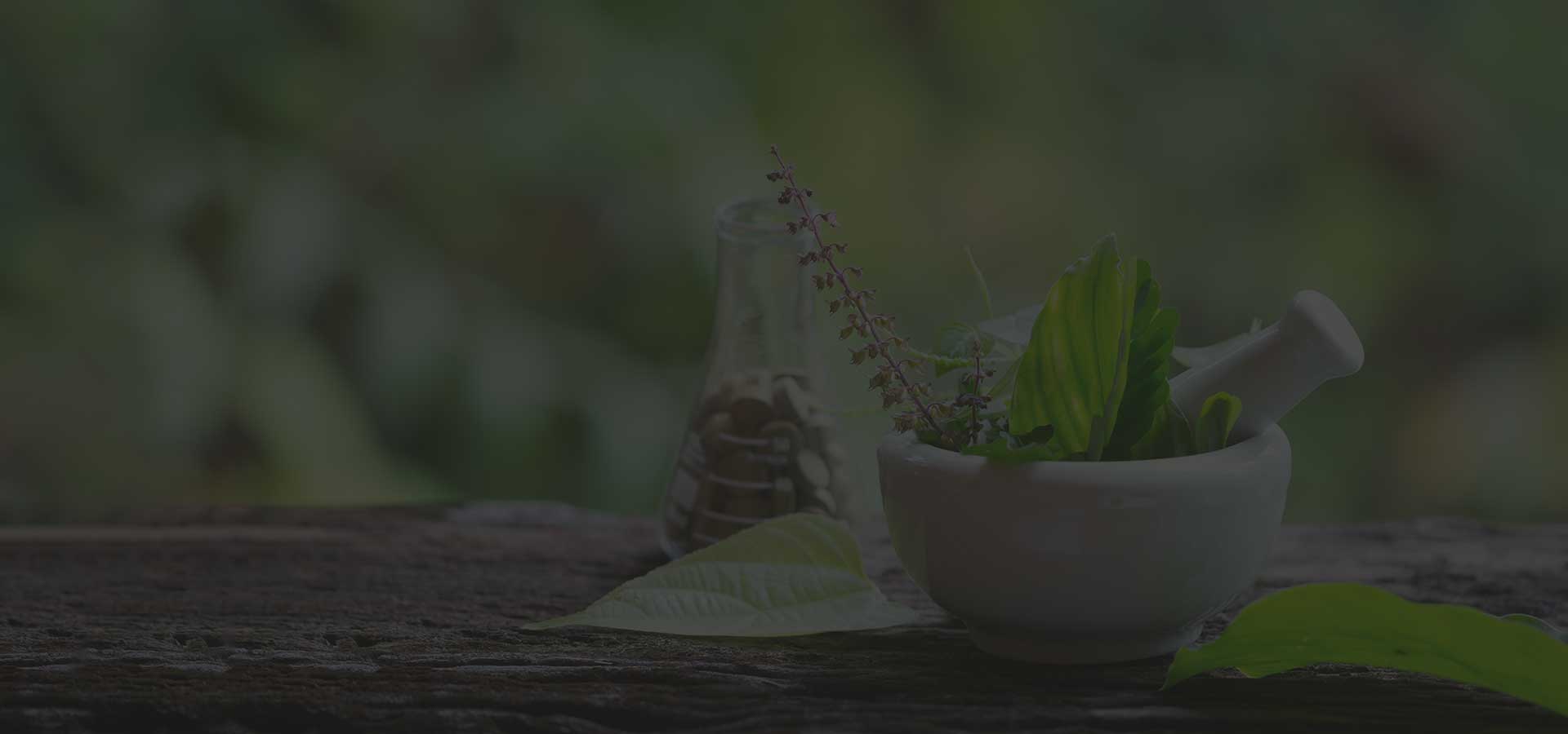 Virginias Apothecare Wellness Consultations and Herbal Medicine in Port Macquarie, NSW
