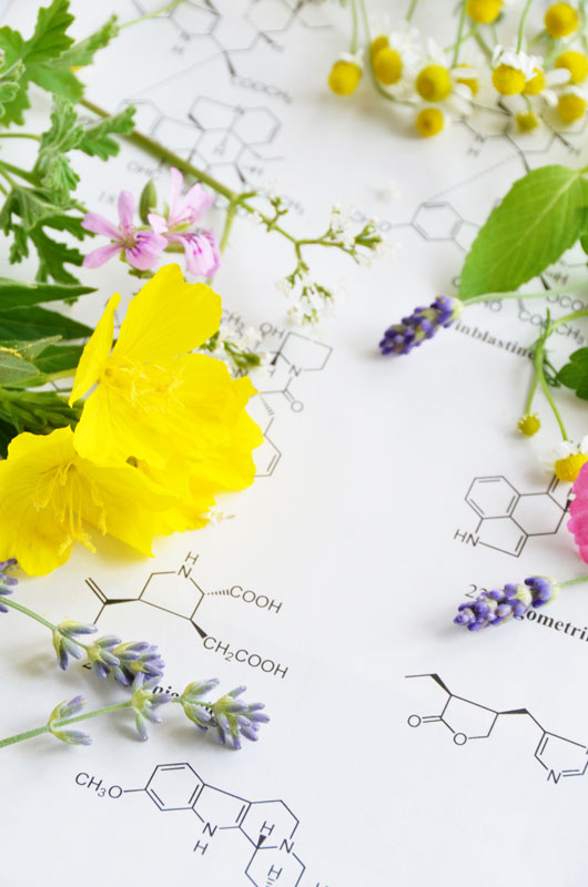 Herbal Medicine Virginia's Apothecare