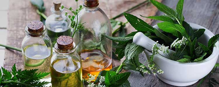 Herbal Medicine in Port Macquarie NSW | Virginias Apothecare